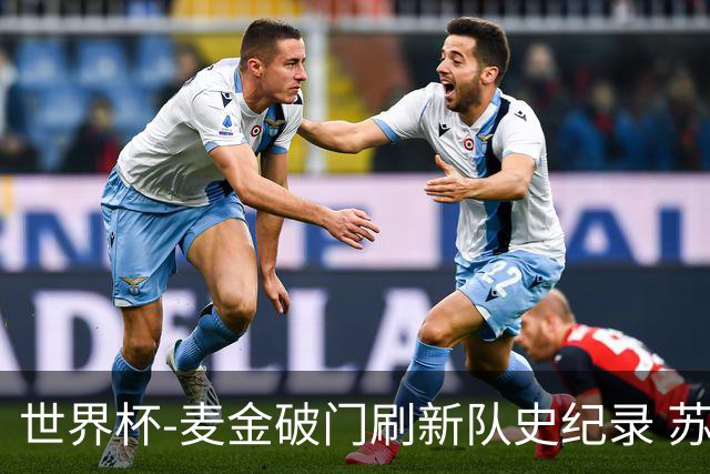 世界杯-麦金破门刷新队史纪录 苏格兰1-0海地领跑积分榜